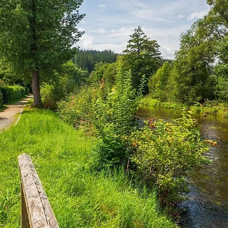 Nr 10, Typ A, Jaegerpark, Bayerischer Wald בית נופש וייכטאך