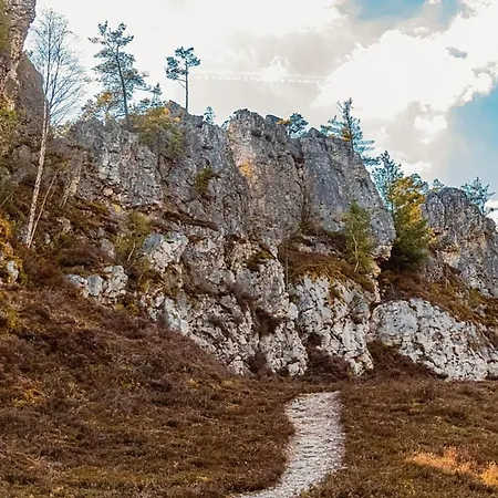 Nr 10, Typ A, Jaegerpark, Bayerischer Wald Casa vacanze Viechtach