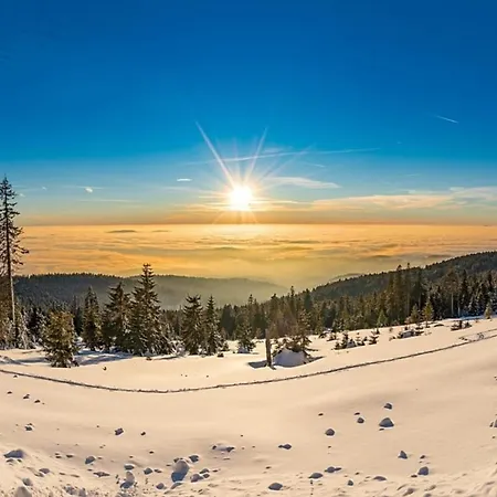 Nr 10, Typ A, Jaegerpark, Bayerischer Wald *