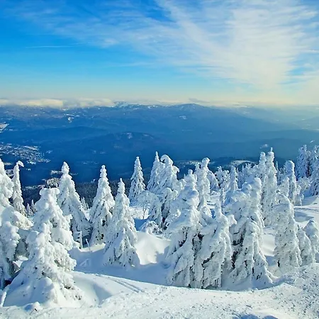 Nr 10, Typ A, Jaegerpark, Bayerischer Wald * Viechtach