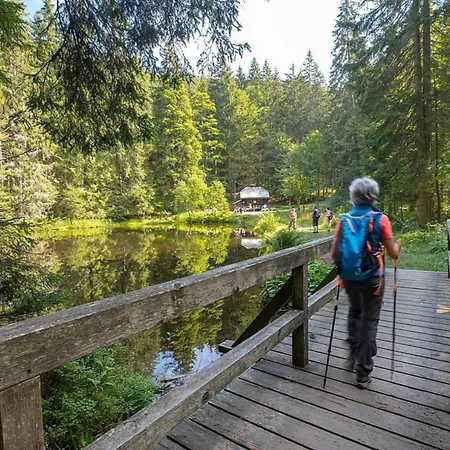 Nr 10, Typ A, Jaegerpark, Bayerischer Wald Фихтах