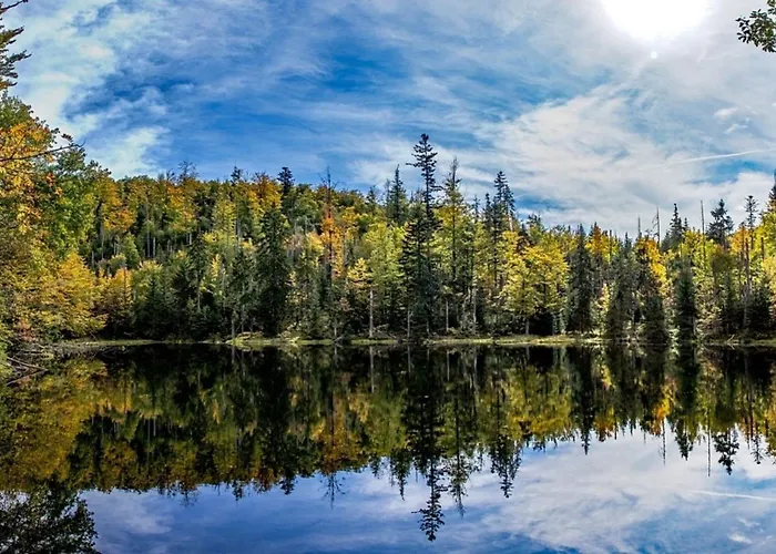 Nr 10, Typ A, Jaegerpark, Bayerischer Wald * Viechtach