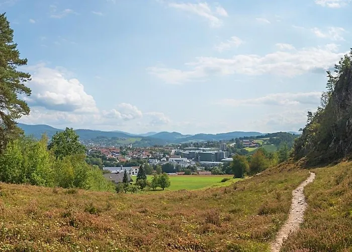 Feriehus Nr 10, Typ A, Jaegerpark, Bayerischer Wald Viechtach