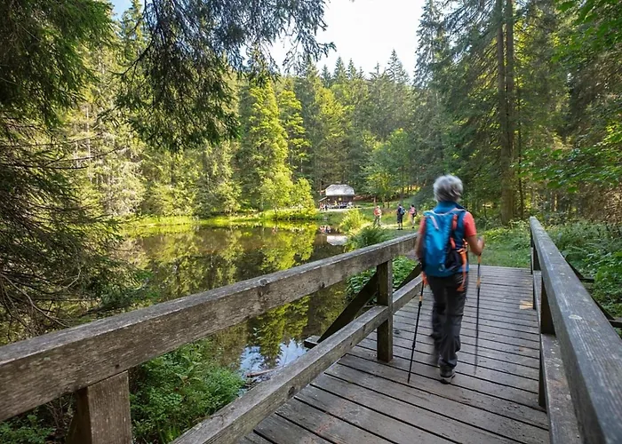Nr 10, Typ A, Jaegerpark, Bayerischer Wald Viechtach