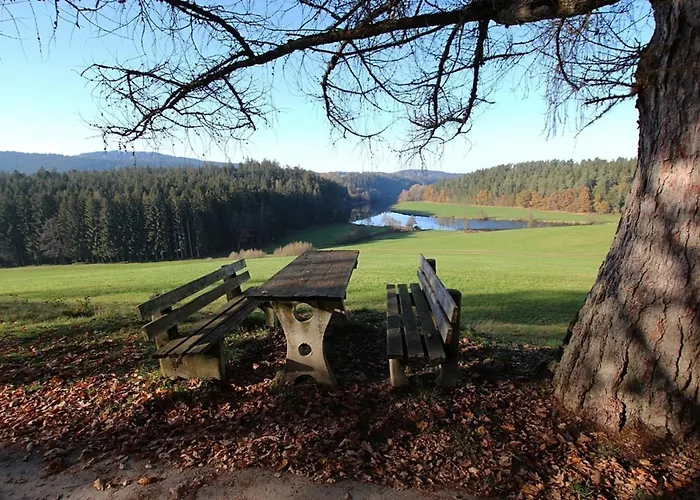 Nr 10, Typ A, Jaegerpark, Bayerischer Wald Feriehus