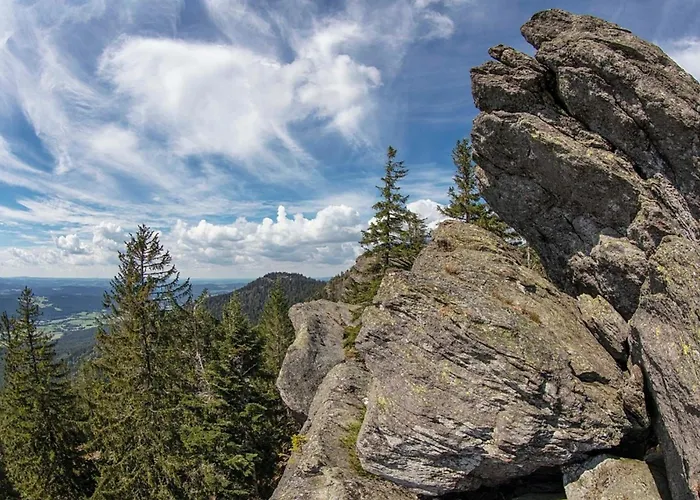 Feriehus Nr 10, Typ A, Jaegerpark, Bayerischer Wald *