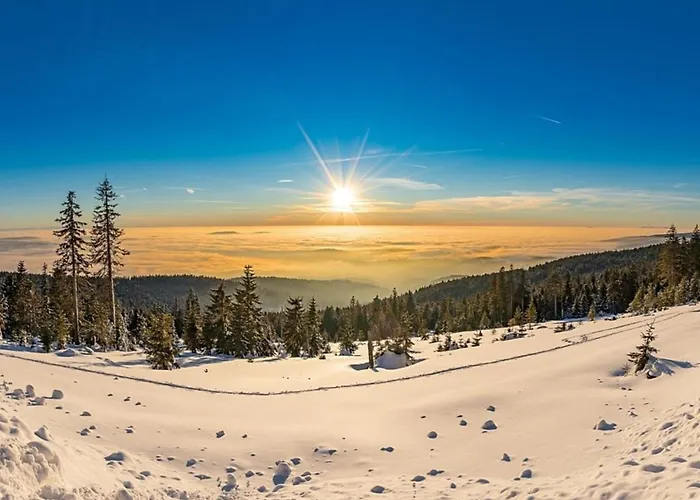 Nr 10, Typ A, Jaegerpark, Bayerischer Wald *