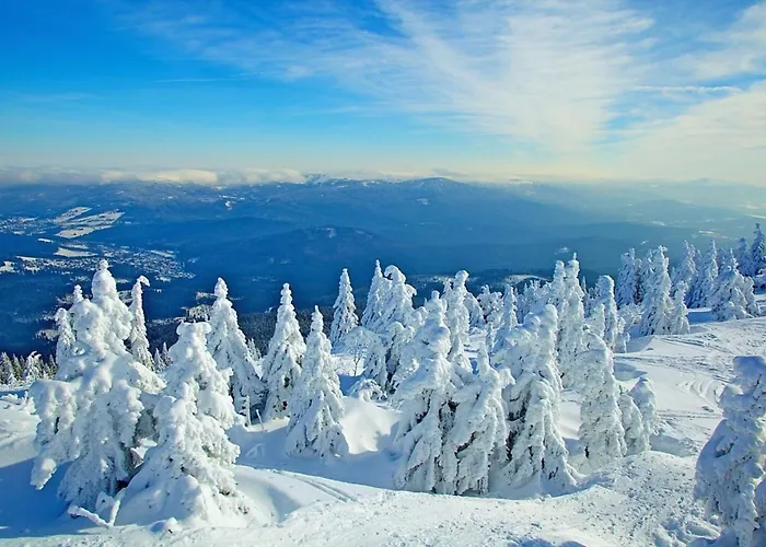 Nr 10, Typ A, Jaegerpark, Bayerischer Wald * Viechtach